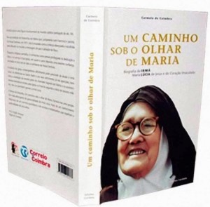Um caminho sob o olhar de Maria