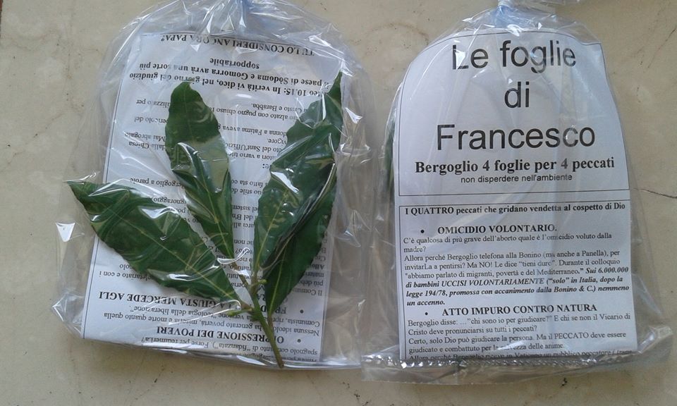 foto le foglie di francesco