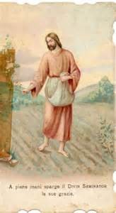 buon seminatore