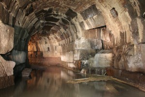 cloaca